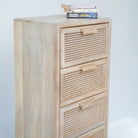 CANOVIA CANE FOUR DRAWER CHEST - Art and craft furniture