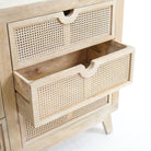 CANOVIA CANE SIX DRAWER DRAWCHEST - Art and craft furniture