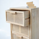 CANOVIA CANE THREE DRAWERS DRAWCHEST - Art and craft furniture