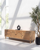 Canovia Curve Mango Wood TV Unit - Art and craft furniture