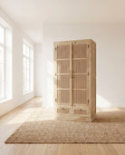 Canovia Rattan Mango wood Cabinet - Art and craft furniture