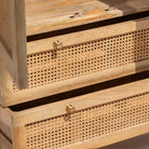CANOVIA TWO DOOR TWO DRAWER CANE CABINET - Art and craft furniture