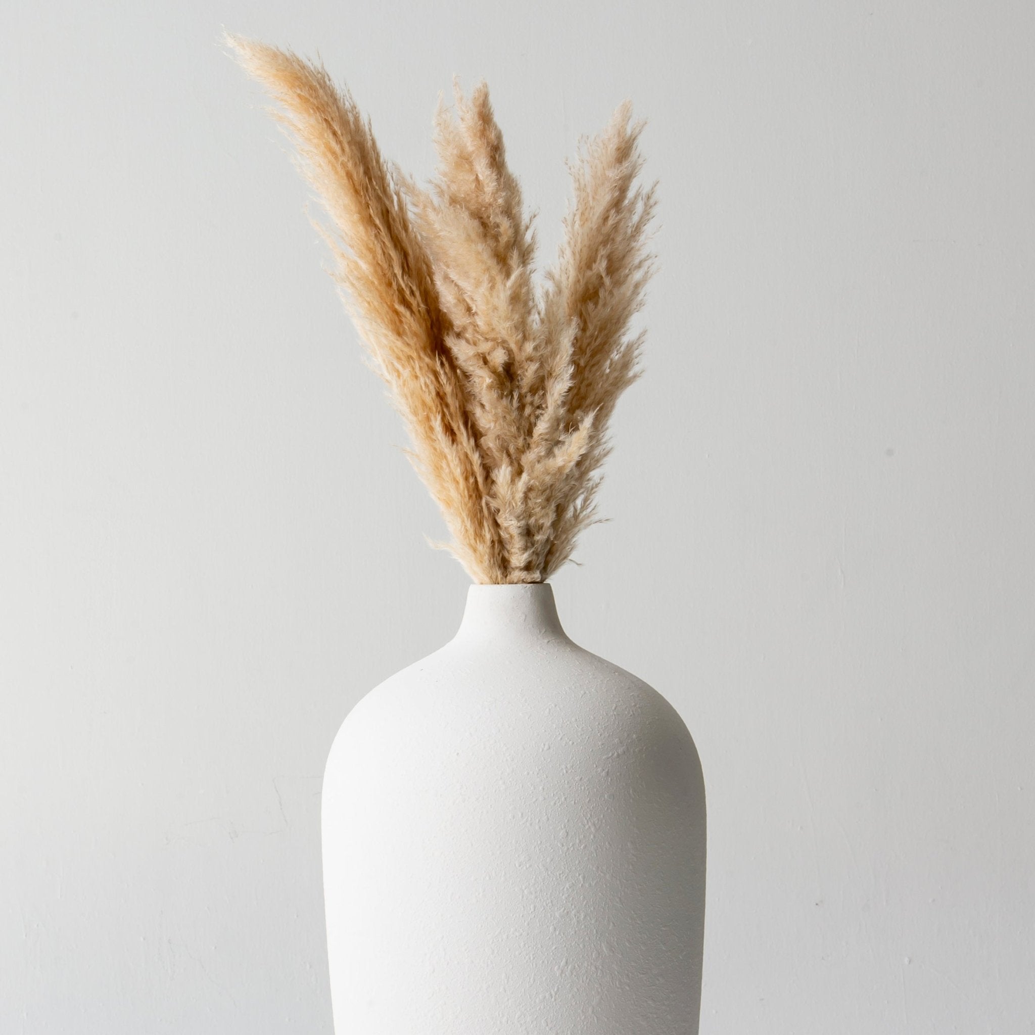 Dried Natural Flower Off White Long Pampas - Art and craft furniture
