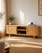 ELISKA TWO DOOR MANGO WOOD TV STAND - Art and craft furniture