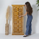 ELMORA PAINTING WOODEN CABINET - Art and craft furniture