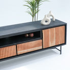 FLORENCE ACACIA TWO DOOR TWO DRAWER TV STAND - Art and craft furniture