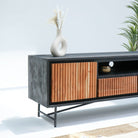 FLORENCE ACACIA TWO DOOR TWO DRAWER TV STAND - Art and craft furniture