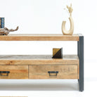 IRONIX WOODEN TWO DRAWER TV STAND - Art and craft furniture