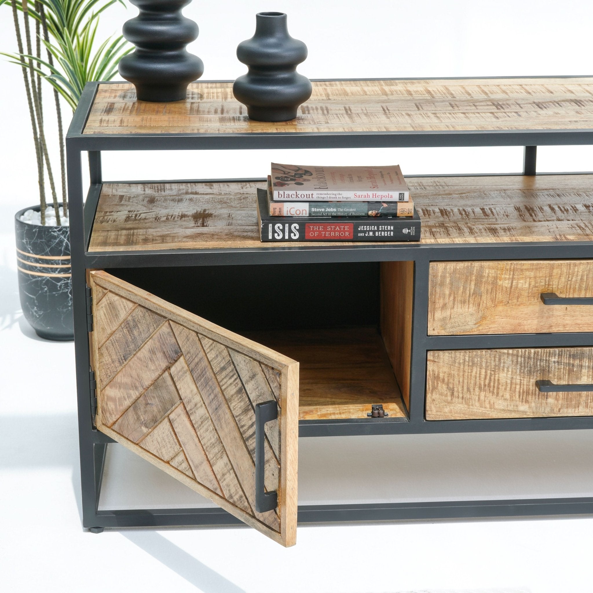 LINEA TWO DRAWER TWO DOOR TV STAND - Art and craft furniture