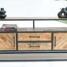 LINEA TWO DRAWER TWO DOOR TV STAND - Art and craft furniture