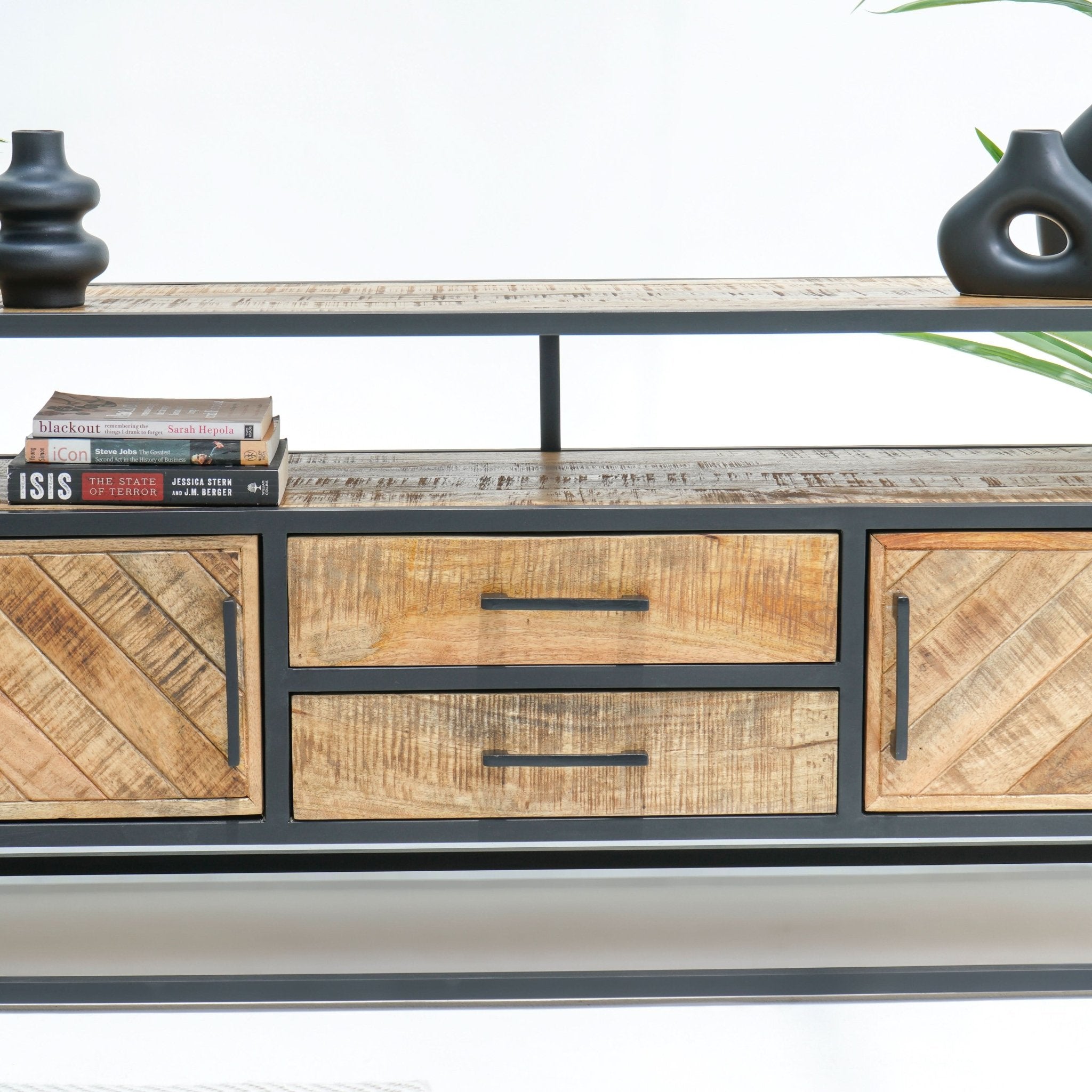 LINEA TWO DRAWER TWO DOOR TV STAND - Art and craft furniture