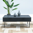 LINWOOD TWO DRAWER COFFEE TABLE - Art and craft furniture