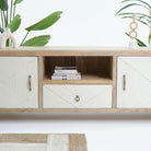 LUWIN LINNING TWO DOOR ONE DRAWER TV STAND - Art and craft furniture