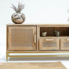 MILANO-CANE TWO DOOR TWO DRAWER TV STAND - Art and craft furniture