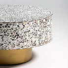 MOONLIT-WHITE MOTHER OF PEARL COFFEE TABLE - Art and craft furniture