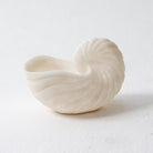 Nautila Shell Bowl - Art and craft furniture