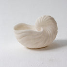 Nautila Shell Bowl - Art and craft furniture