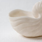 Nautila Shell Bowl - Art and craft furniture