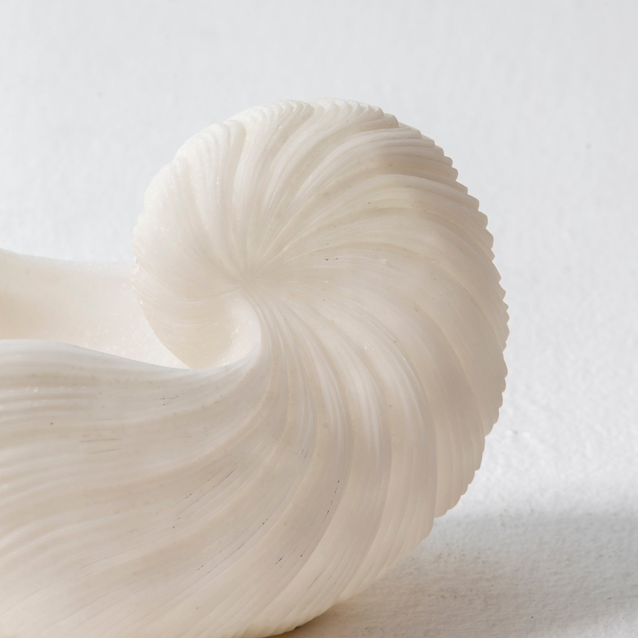 Nautila Shell Bowl - Art and craft furniture