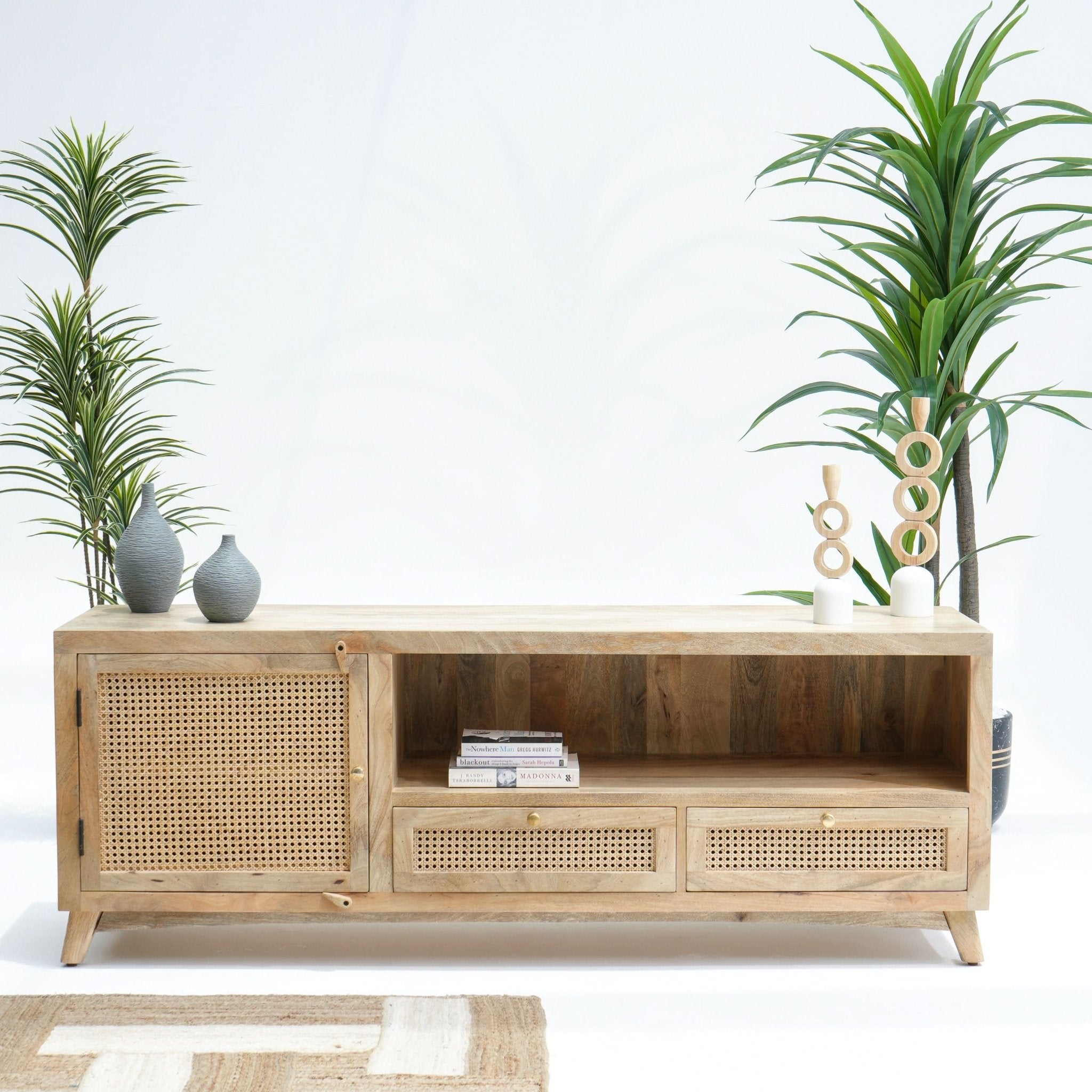 PARI RATTAN WOODEN TV STAND - Art and craft furniture