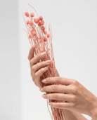 Peach Dried Stick With Buds - Art and craft furniture