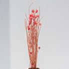 PEACH DRIED STICKS WITH BUDS - Art and craft furniture