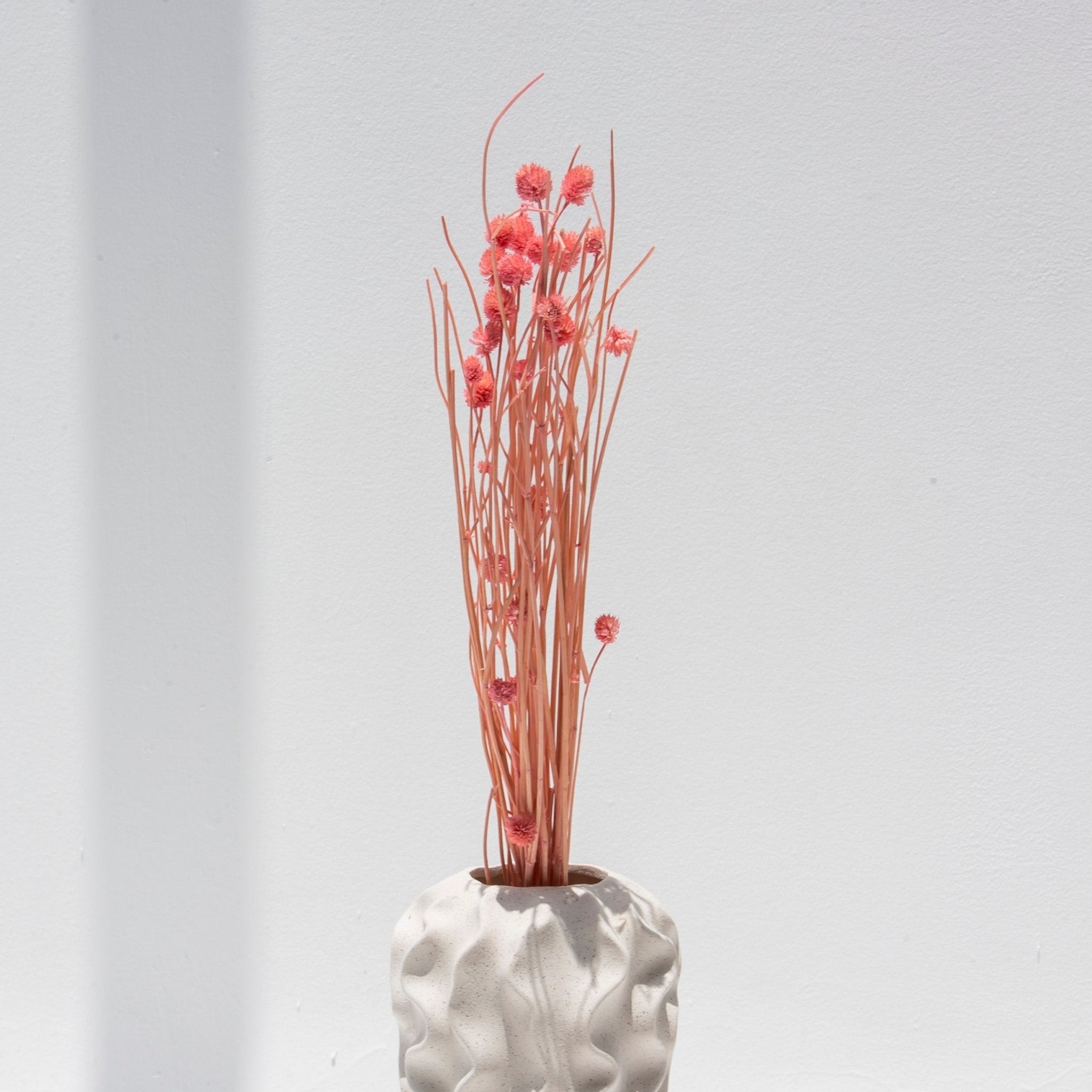 PEACH DRIED STICKS WITH BUDS - Art and craft furniture