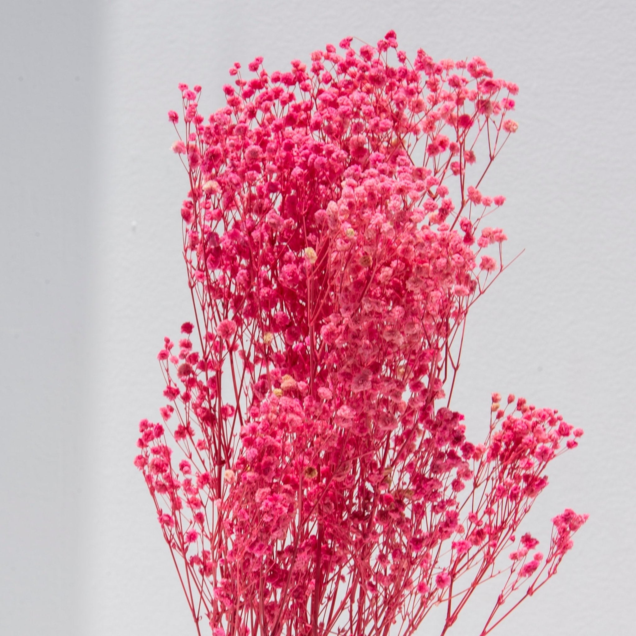Pink Gypsophila Bunch - Art and craft furniture