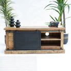 RAWDEN TWO DRAWER ONE DOOR TV STAND - Art and craft furniture