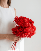Red Blossom Bush Dried Flowers - Art and craft furniture