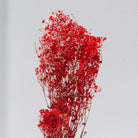 Red Decorative Bunch Dried Flowers - Art and craft furniture