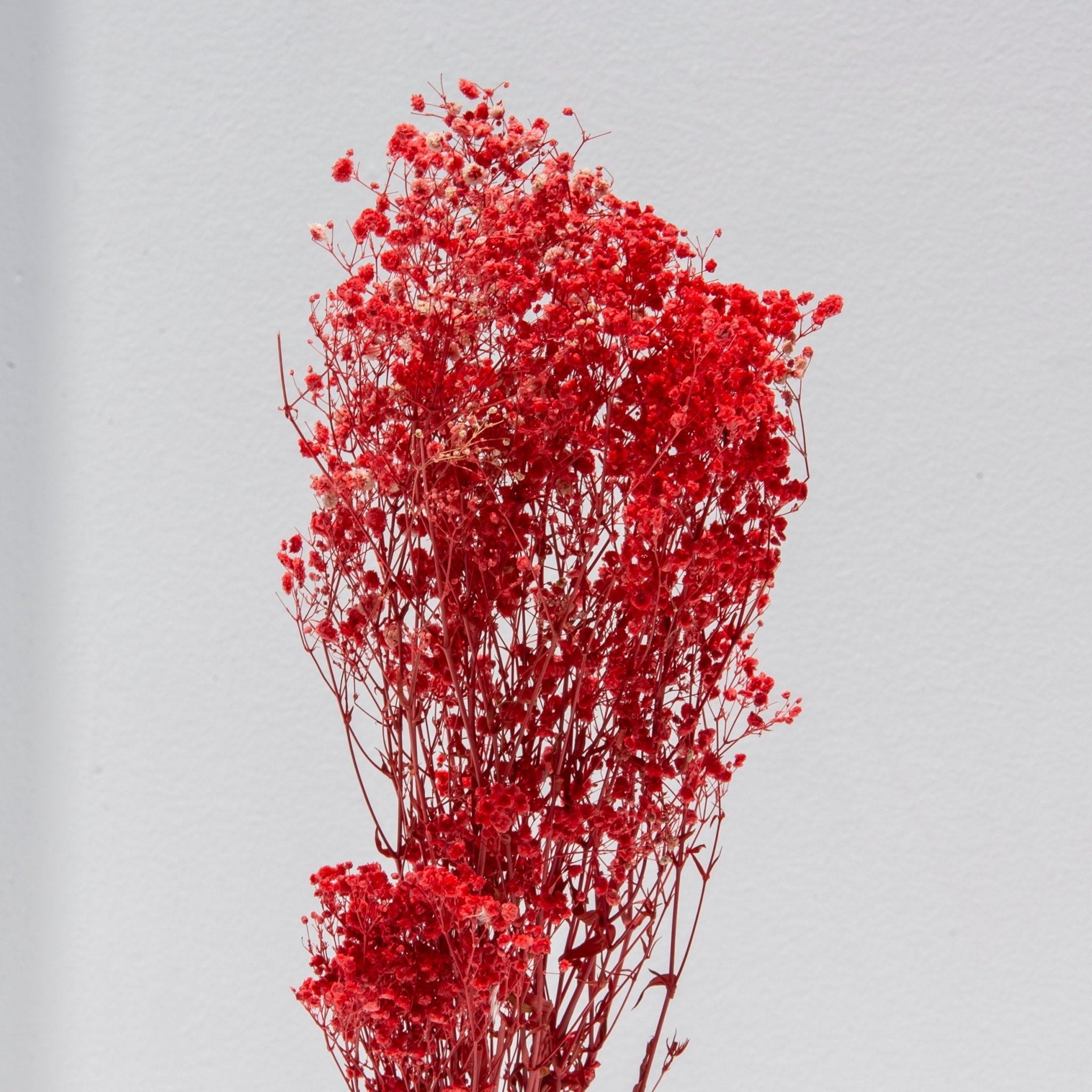 Red Decorative Bunch Dried Flowers - Art and craft furniture
