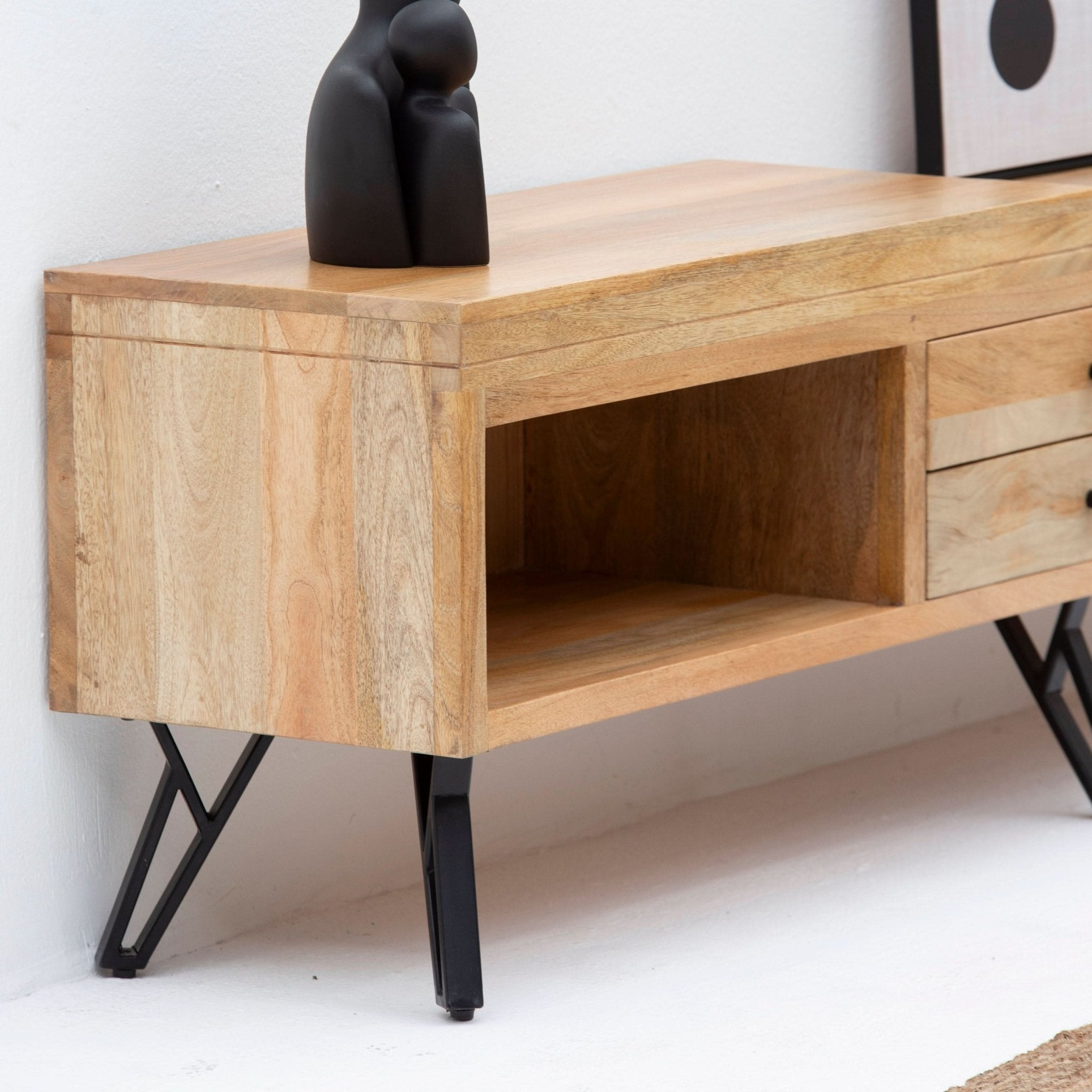 SKYLINE WOODEN TWO DRAWER-DOOR TV STAND - Art and craft furniture
