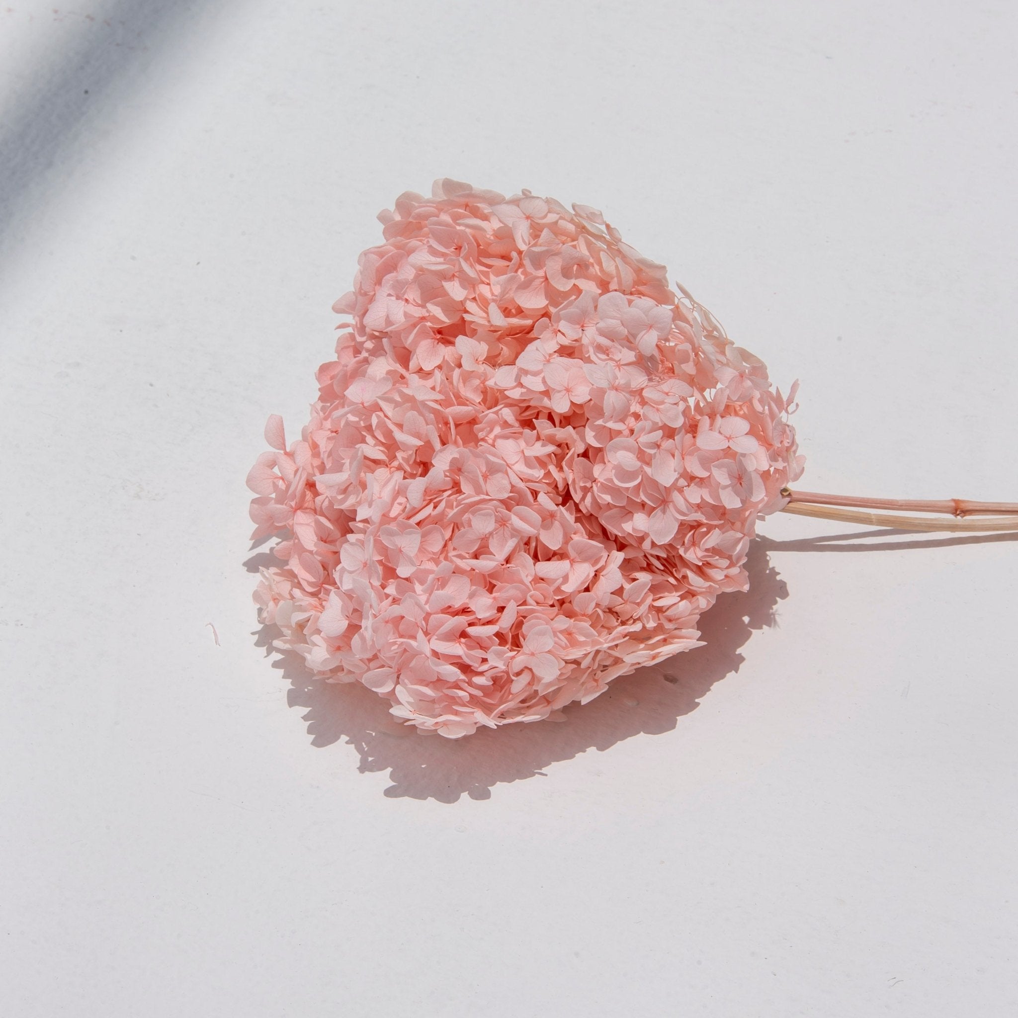 Soft Pink Blossom Branch - Art and craft furniture