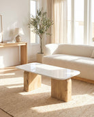 Terraluxe Marble Top Coffee Table - Art and craft furniture