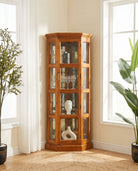 Timeless Teak Wood Glass Door Corner Cabinet - Art and craft furniture