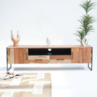 VILLENEUVE TWO DOOR TWO DRAWER TV STAND - Art and craft furniture