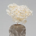 White Preserved Floral Bunch - Art and craft furniture