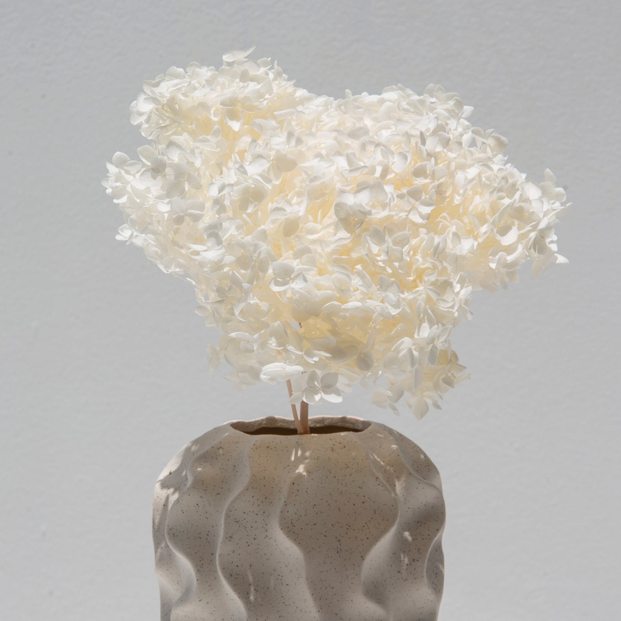 White Preserved Floral Bunch - Art and craft furniture