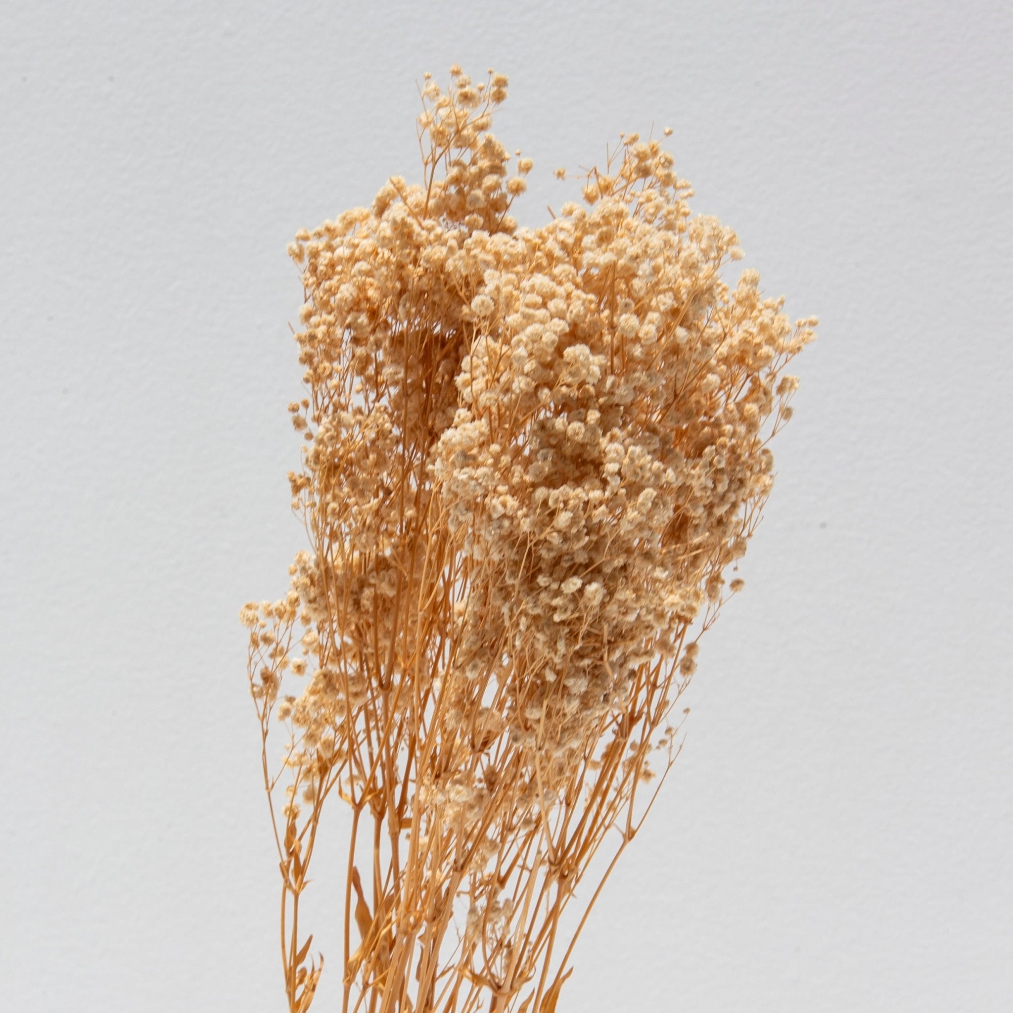 Yellow Gypsophila Bunch - Art and craft furniture